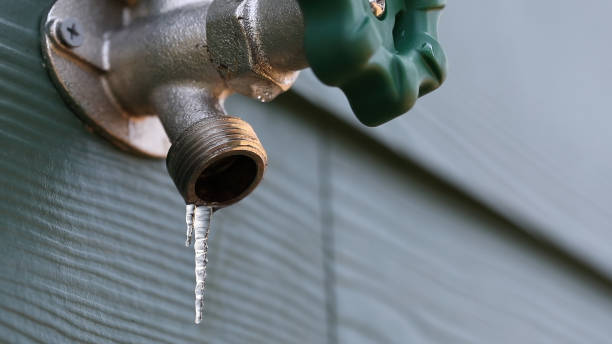 Best Affordable Plumbing Services  in Fairview Shores, FL